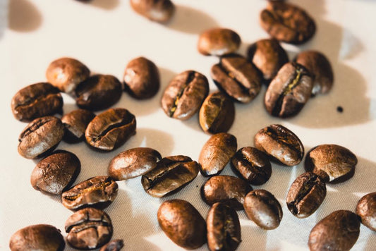 Single Origin Sumatra Coffee: Why It Tastes Dark and Earthy